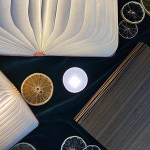 
                  
                    Reading Book Light - Wooden Finish - The Willoughby Book ClubNon Book ProductMiniMaple
                  
                